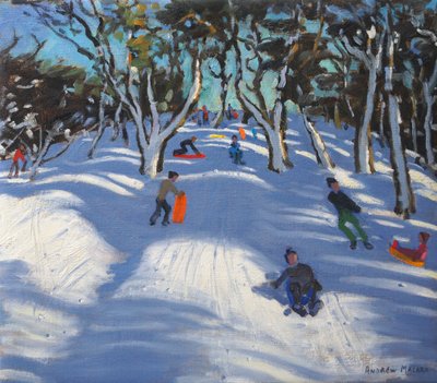 Schlittenfahren in Ladmanlow, 2012 von Andrew Macara